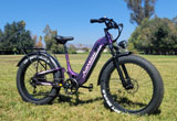 aipas bike