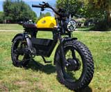 diton ebike